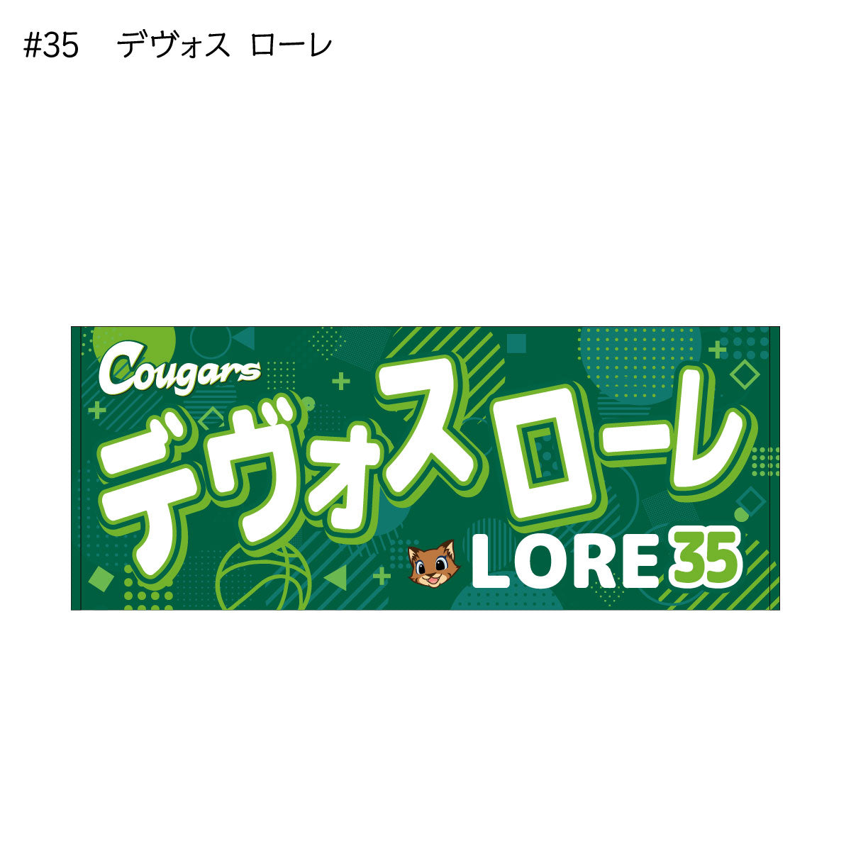 クーガーズ2025-26 選手名タオル