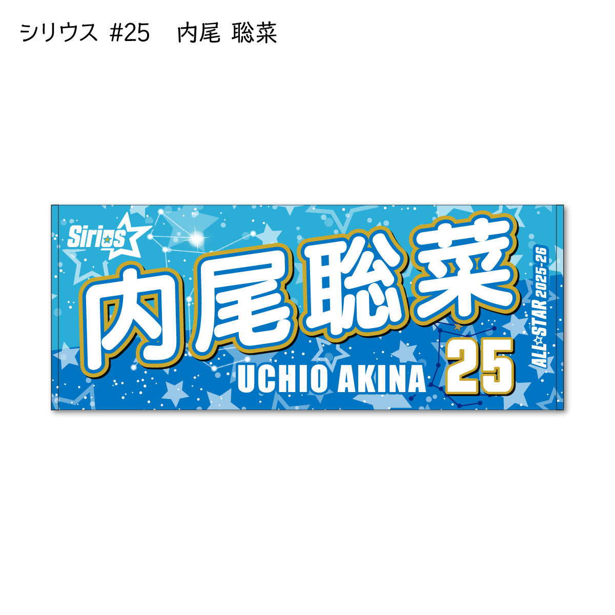ALLSTAR出場選手 応援タオル