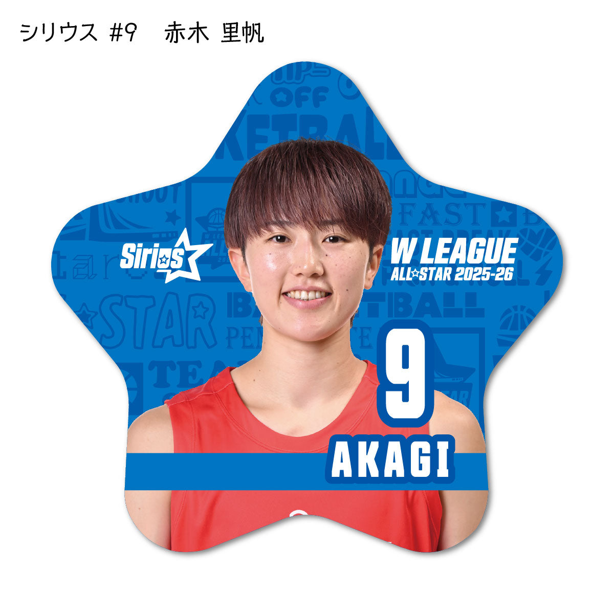 ALLSTAR出場選手 星型缶バッジ