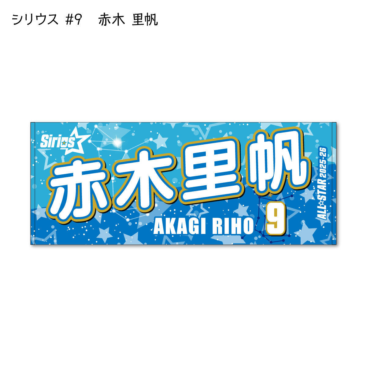 ALLSTAR出場選手 応援タオル