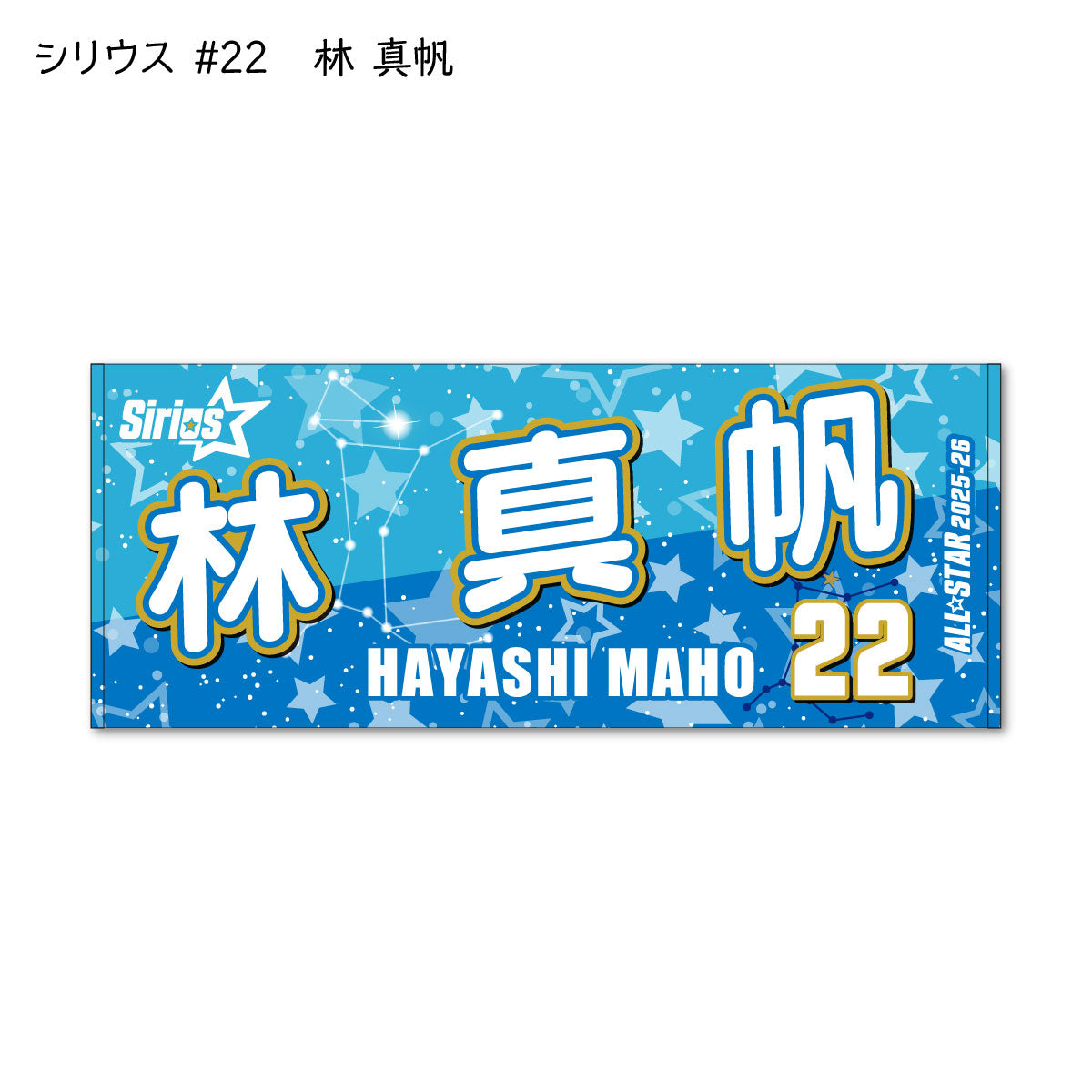 ALLSTAR出場選手 応援タオル
