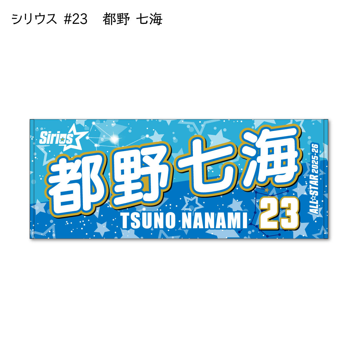 ALLSTAR出場選手 応援タオル