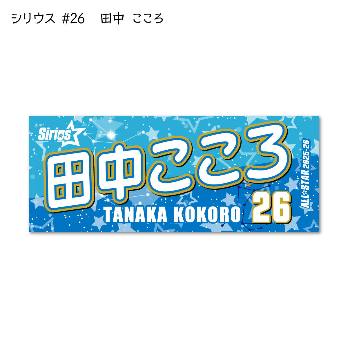 ALLSTAR出場選手 応援タオル