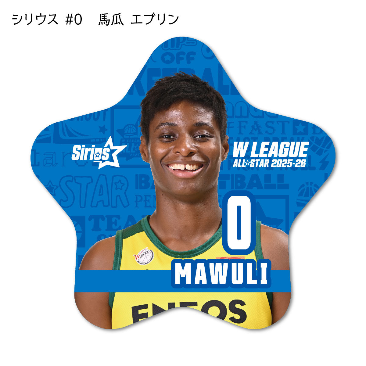 ALLSTAR出場選手 星型缶バッジ