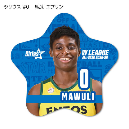 ALLSTAR出場選手 星型缶バッジ