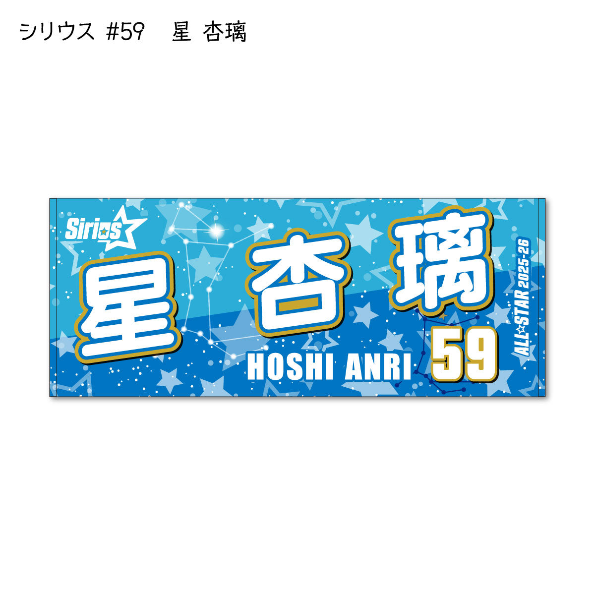 ALLSTAR出場選手 応援タオル