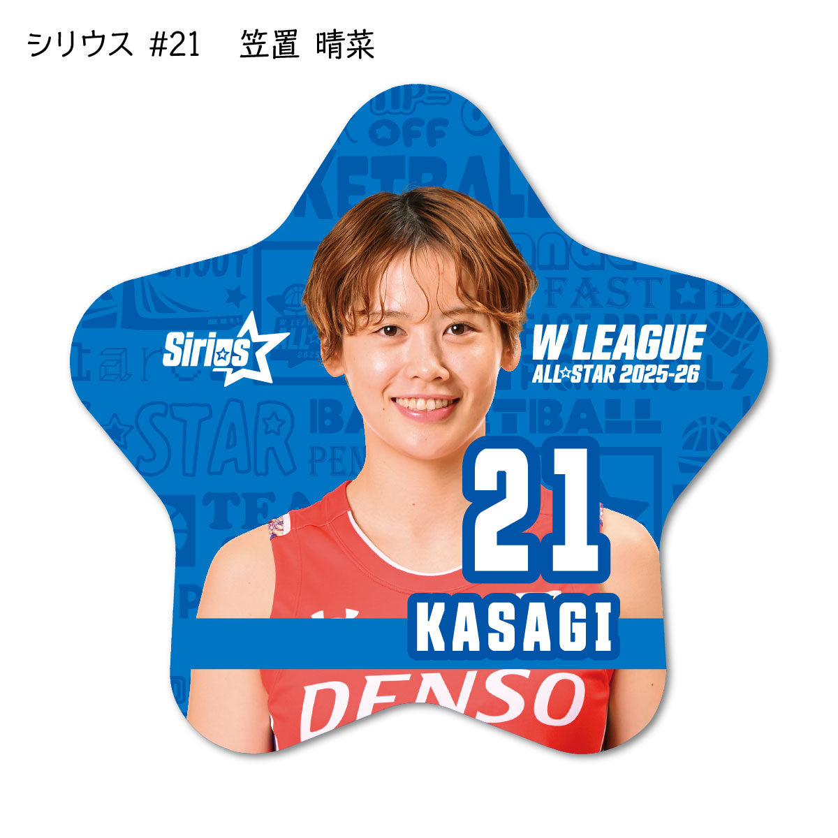ALLSTAR出場選手 星型缶バッジ