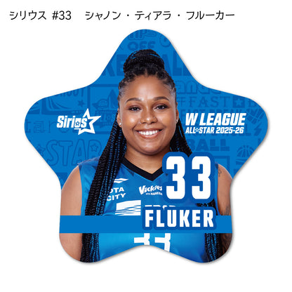 ALLSTAR出場選手 星型缶バッジ