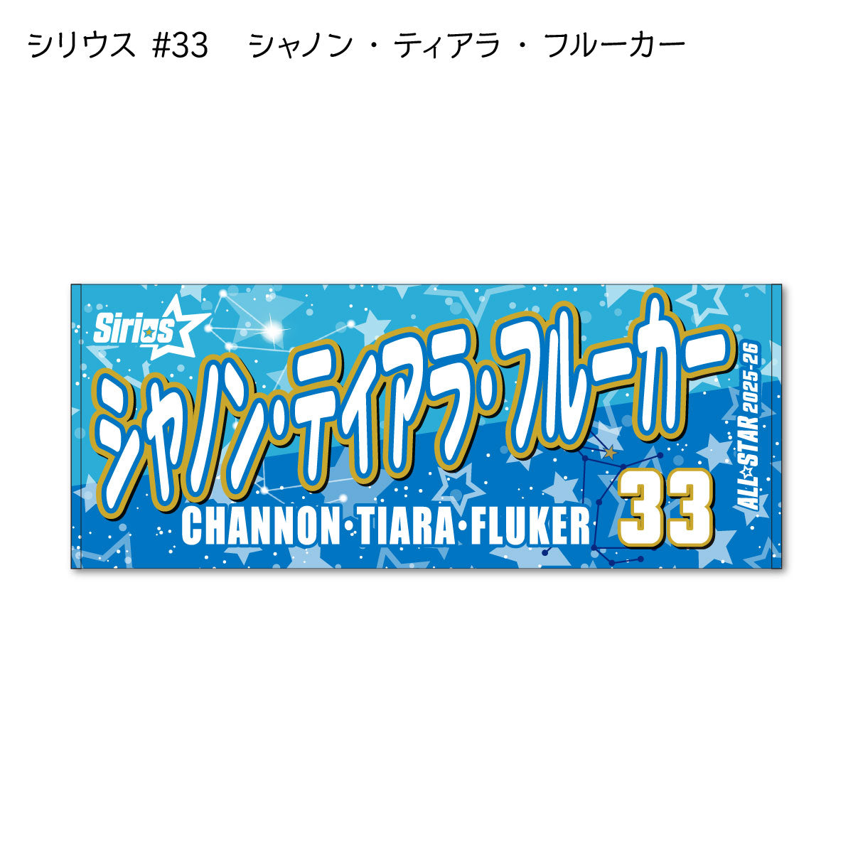 ALLSTAR出場選手 応援タオル