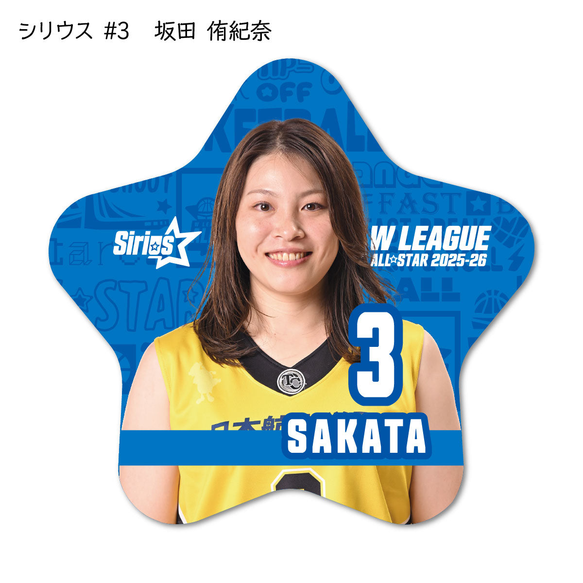 ALLSTAR出場選手 星型缶バッジ