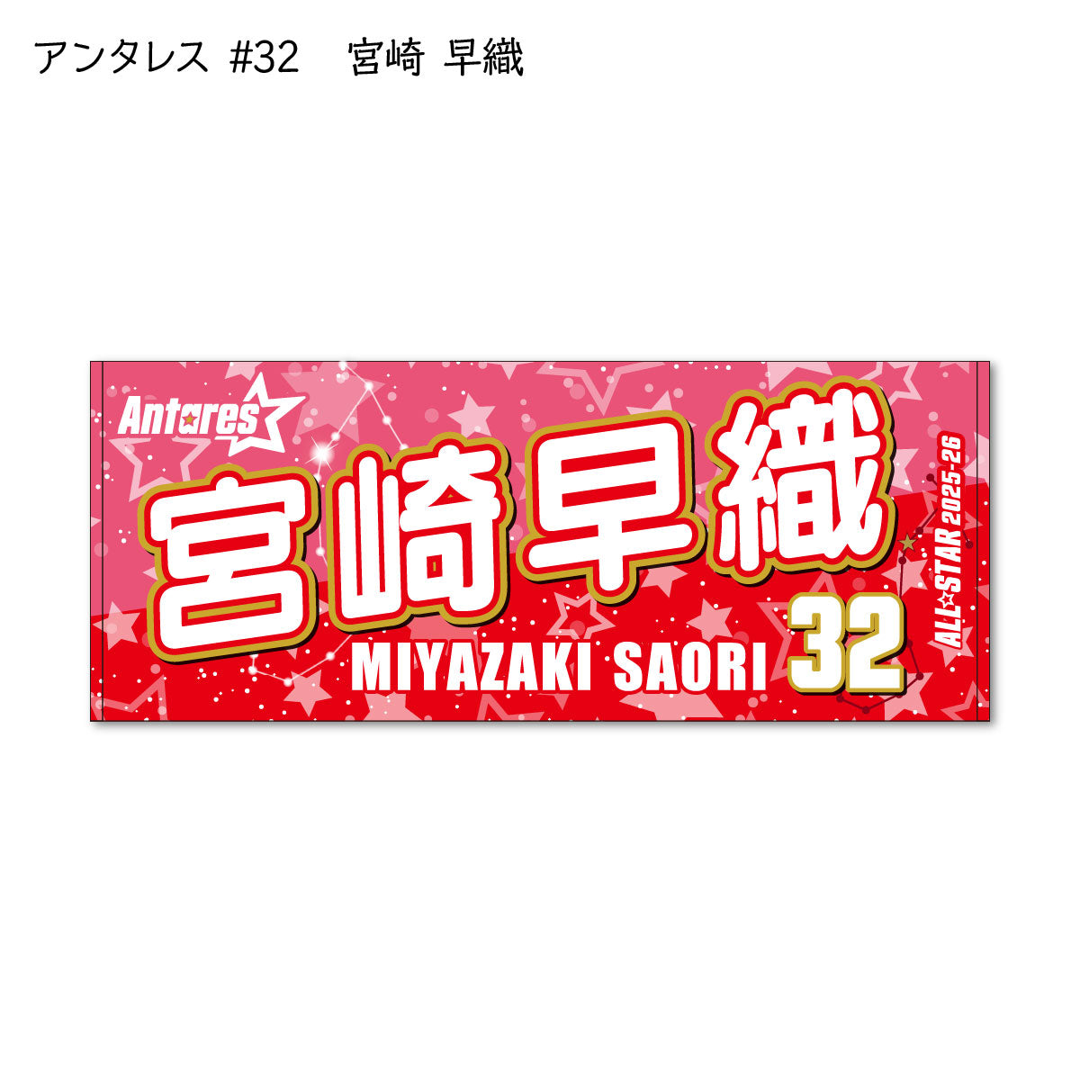 ALLSTAR出場選手 応援タオル