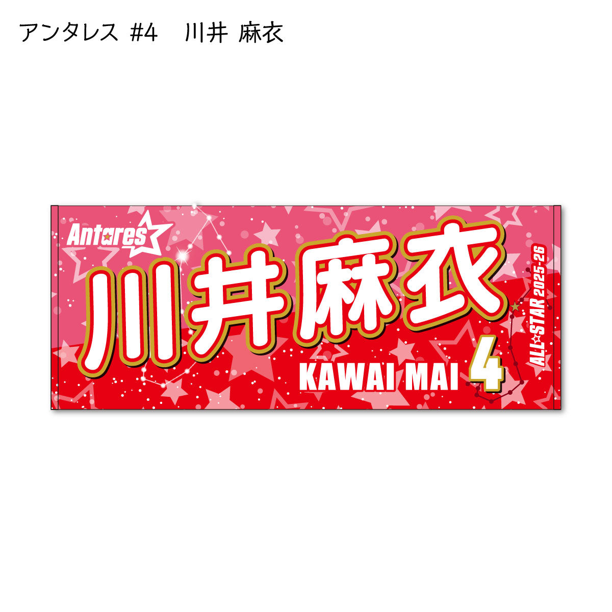 ALLSTAR出場選手 応援タオル