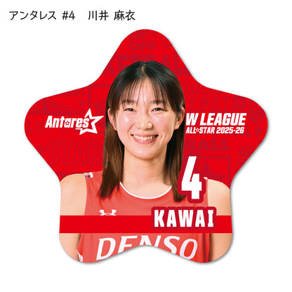 ALLSTAR出場選手 星型缶バッジ