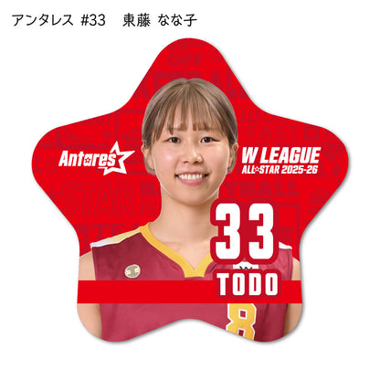 ALLSTAR出場選手 星型缶バッジ