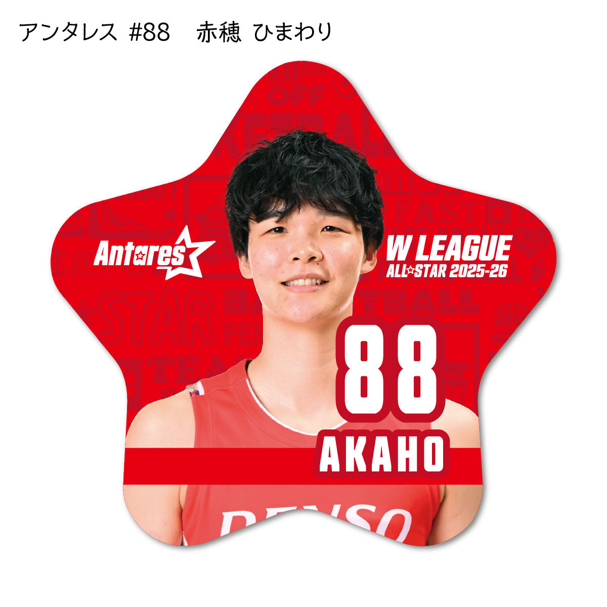 ALLSTAR出場選手 星型缶バッジ