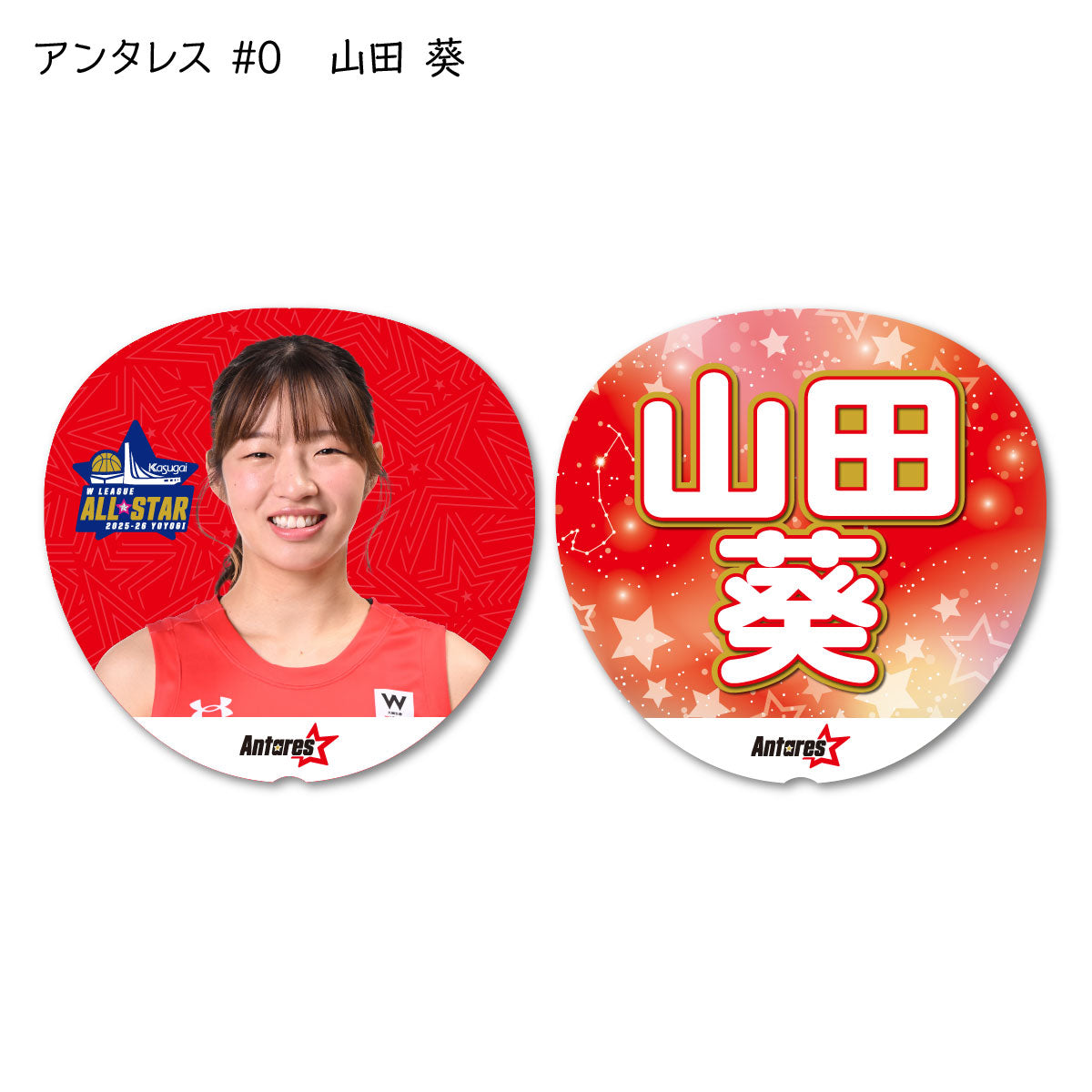 ALLSTAR出場選手 応援うちわ