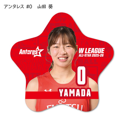 ALLSTAR出場選手 星型缶バッジ