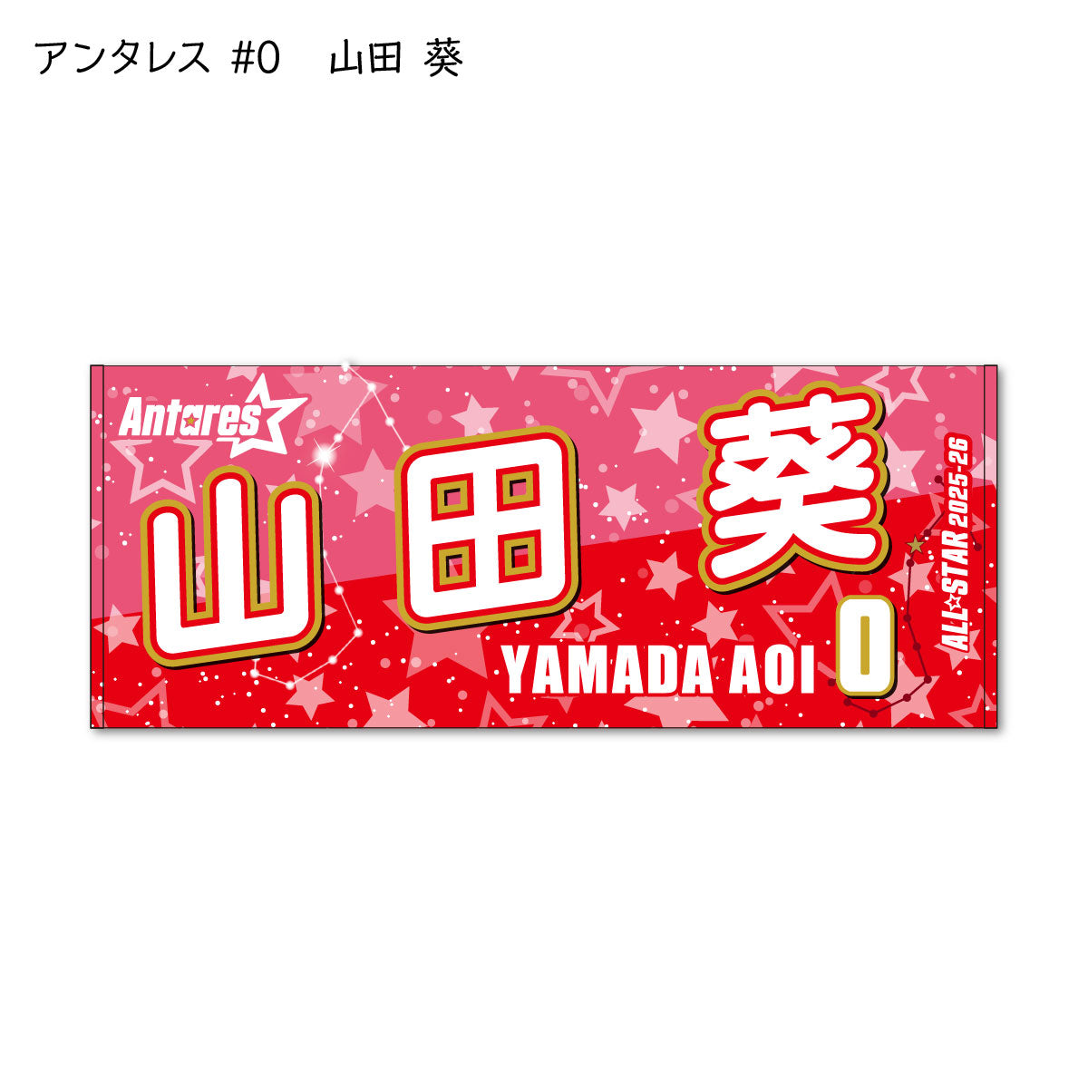 ALLSTAR出場選手 応援タオル