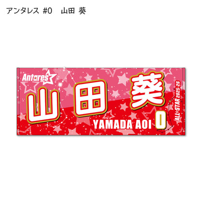 ALLSTAR出場選手 応援タオル