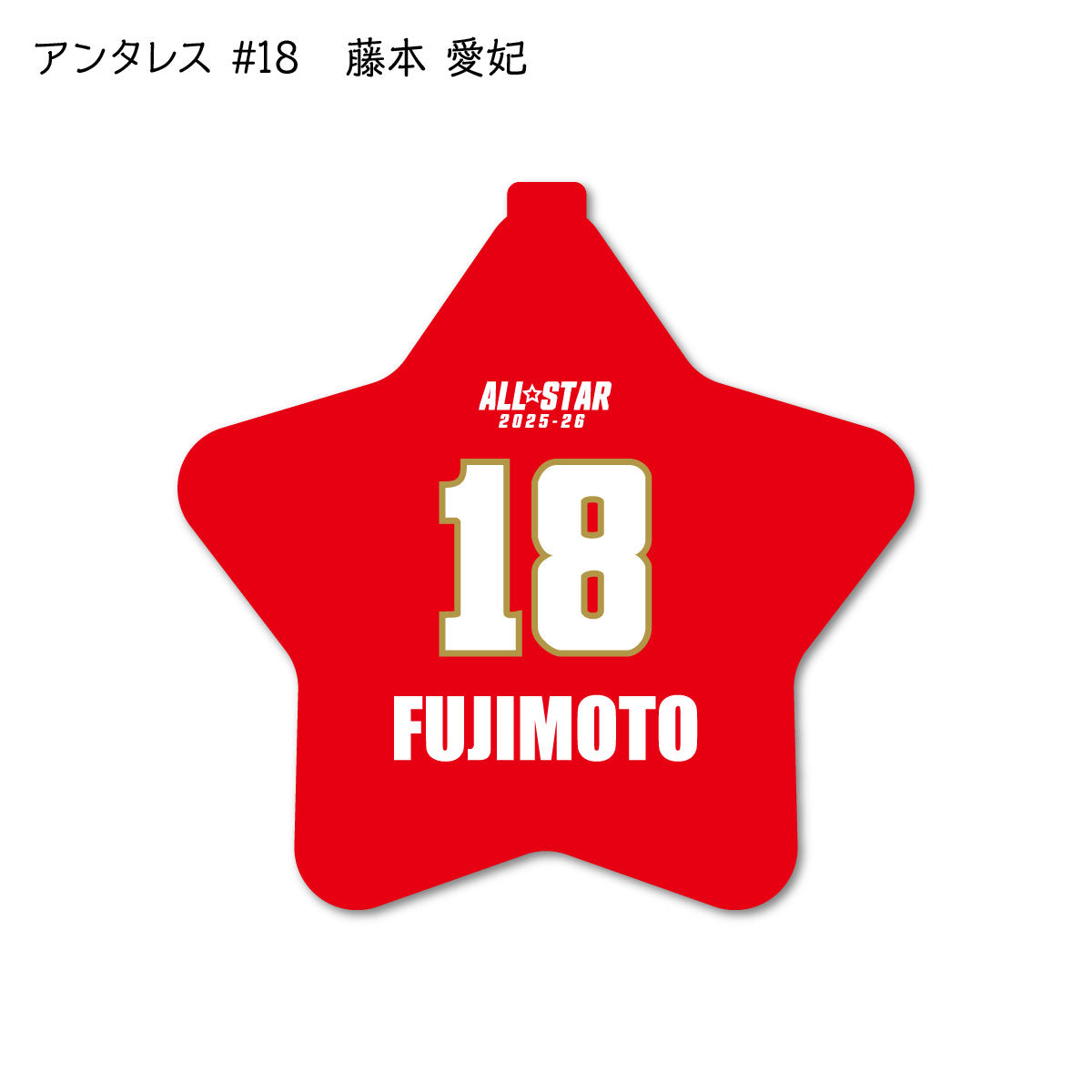 ALLSTAR出場選手 ラバーコインケース