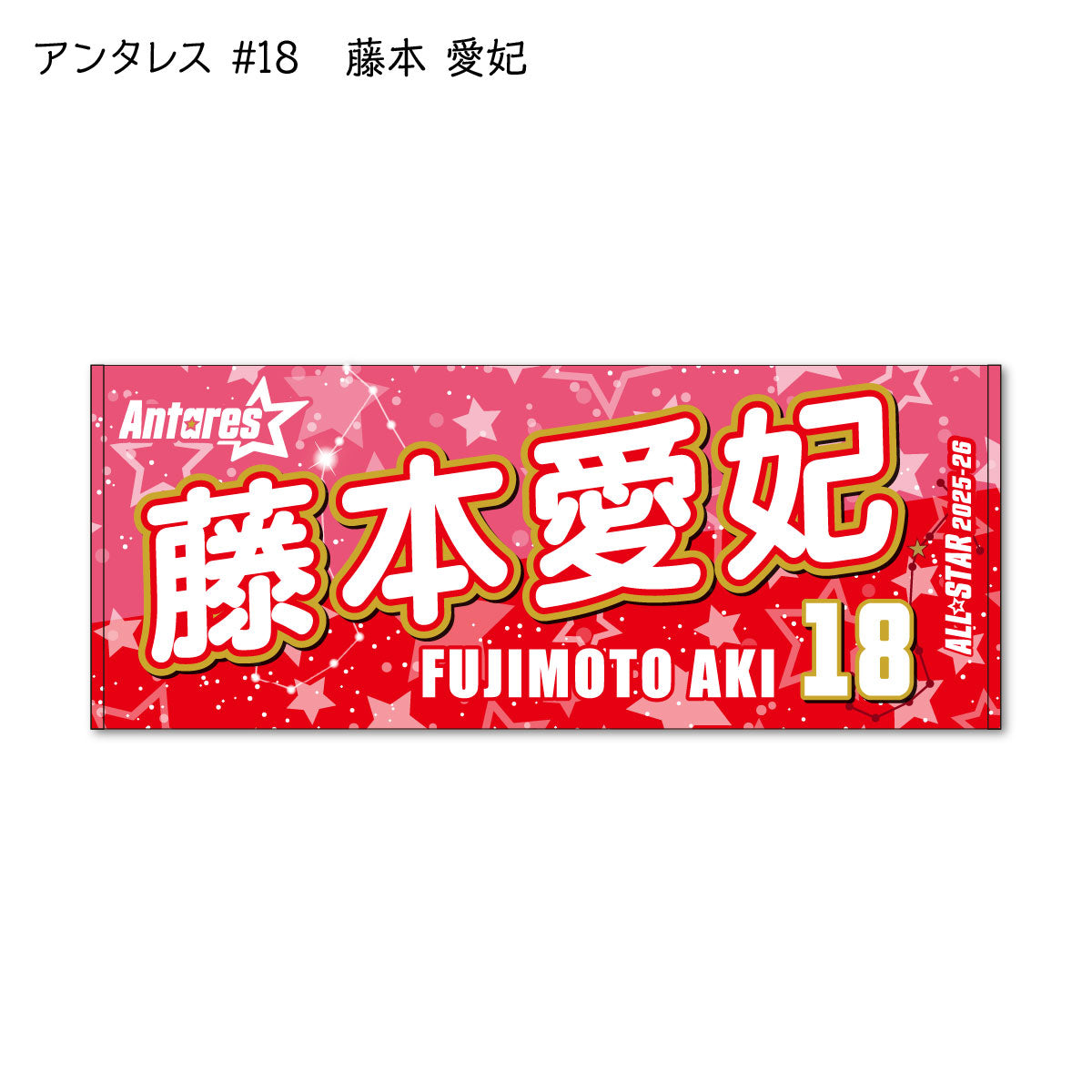 ALLSTAR出場選手 応援タオル