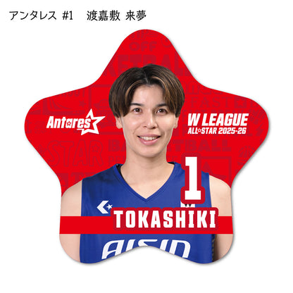 ALLSTAR出場選手 星型缶バッジ