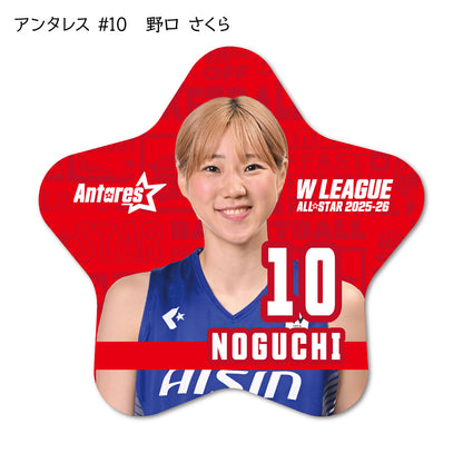 ALLSTAR出場選手 星型缶バッジ