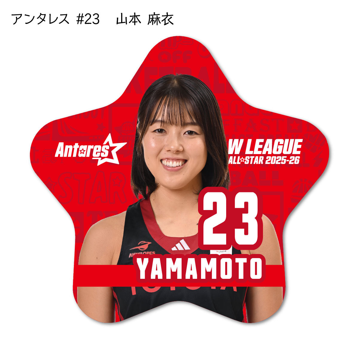 ALLSTAR出場選手 星型缶バッジ