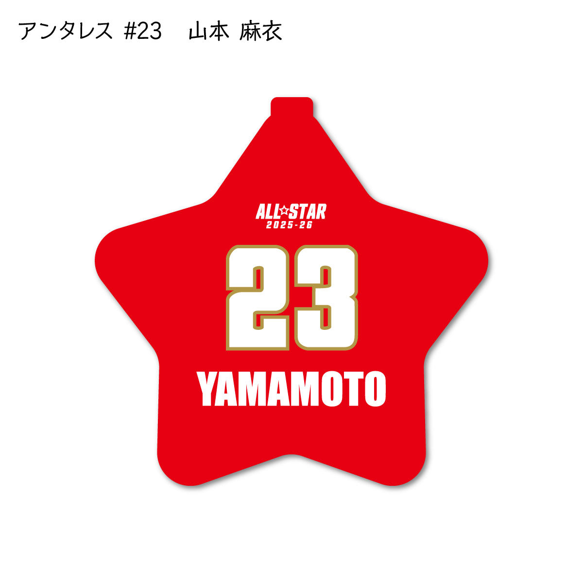 ALLSTAR出場選手 ラバーコインケース