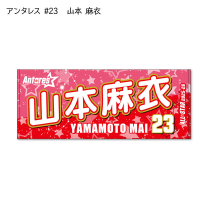ALLSTAR出場選手 応援タオル