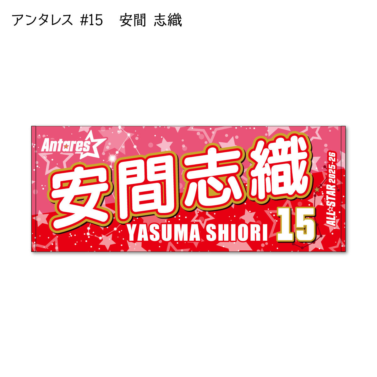 ALLSTAR出場選手 応援タオル