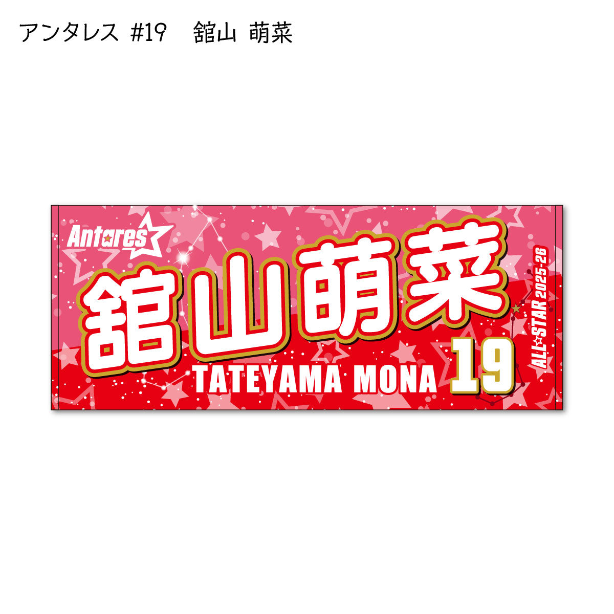 ALLSTAR出場選手 応援タオル