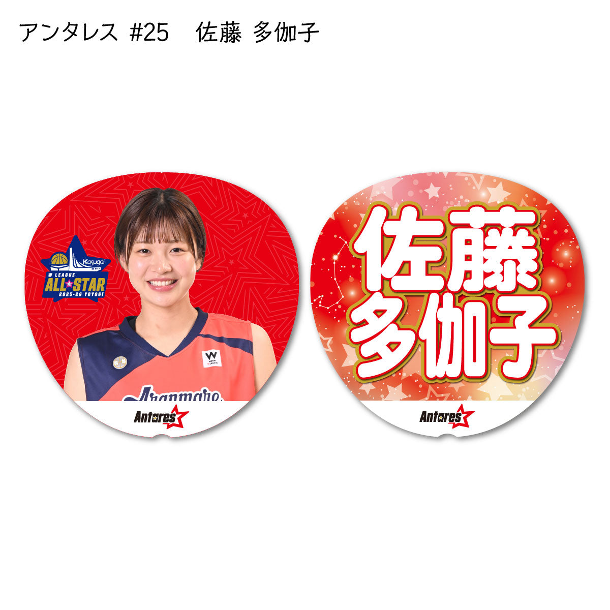 ALLSTAR出場選手 応援うちわ