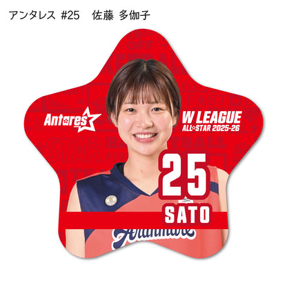 ALLSTAR出場選手 星型缶バッジ