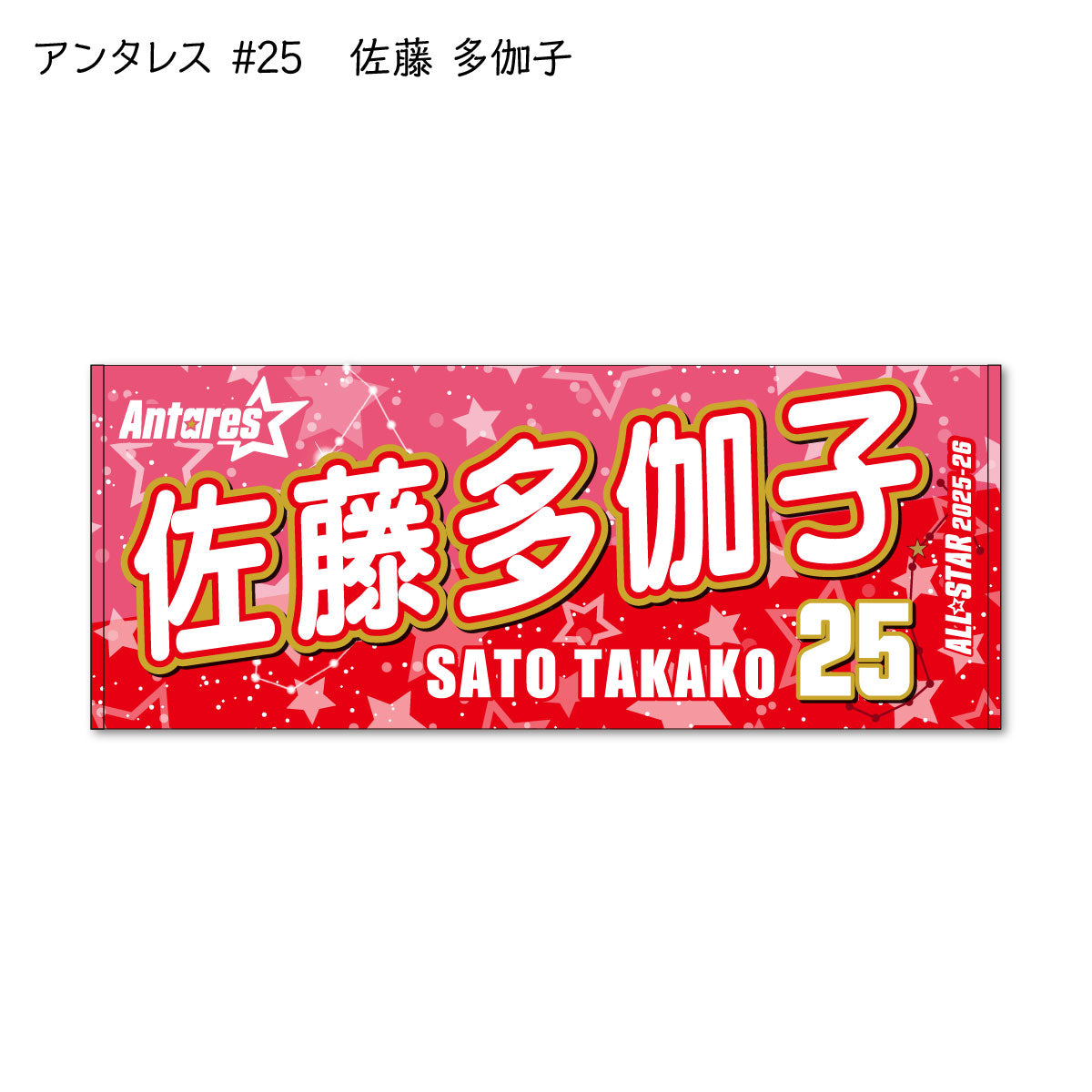 ALLSTAR出場選手 応援タオル