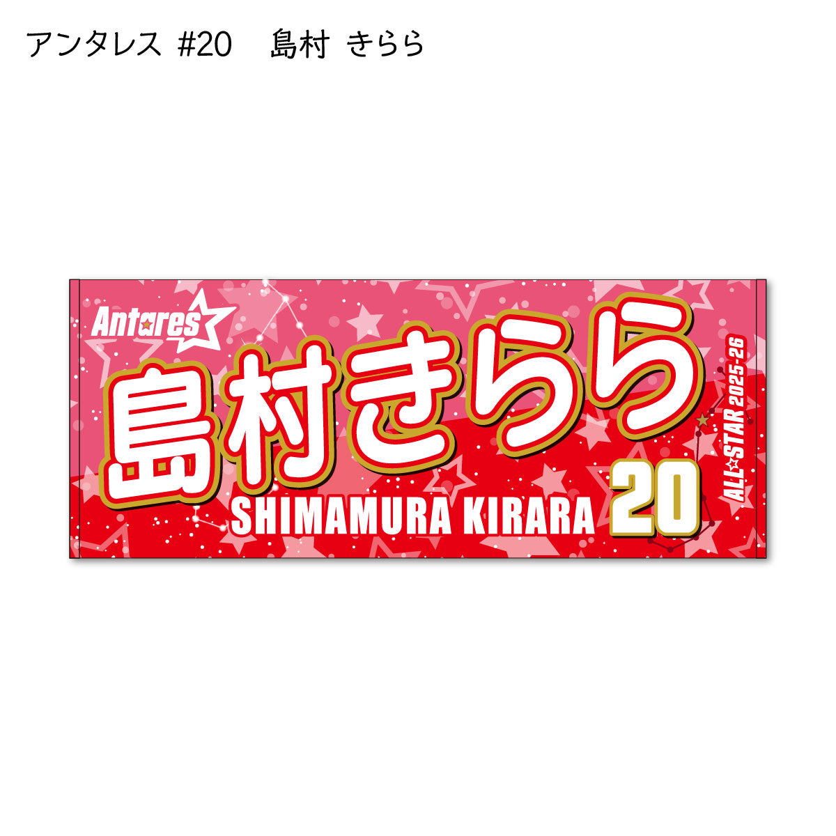 ALLSTAR出場選手 応援タオル