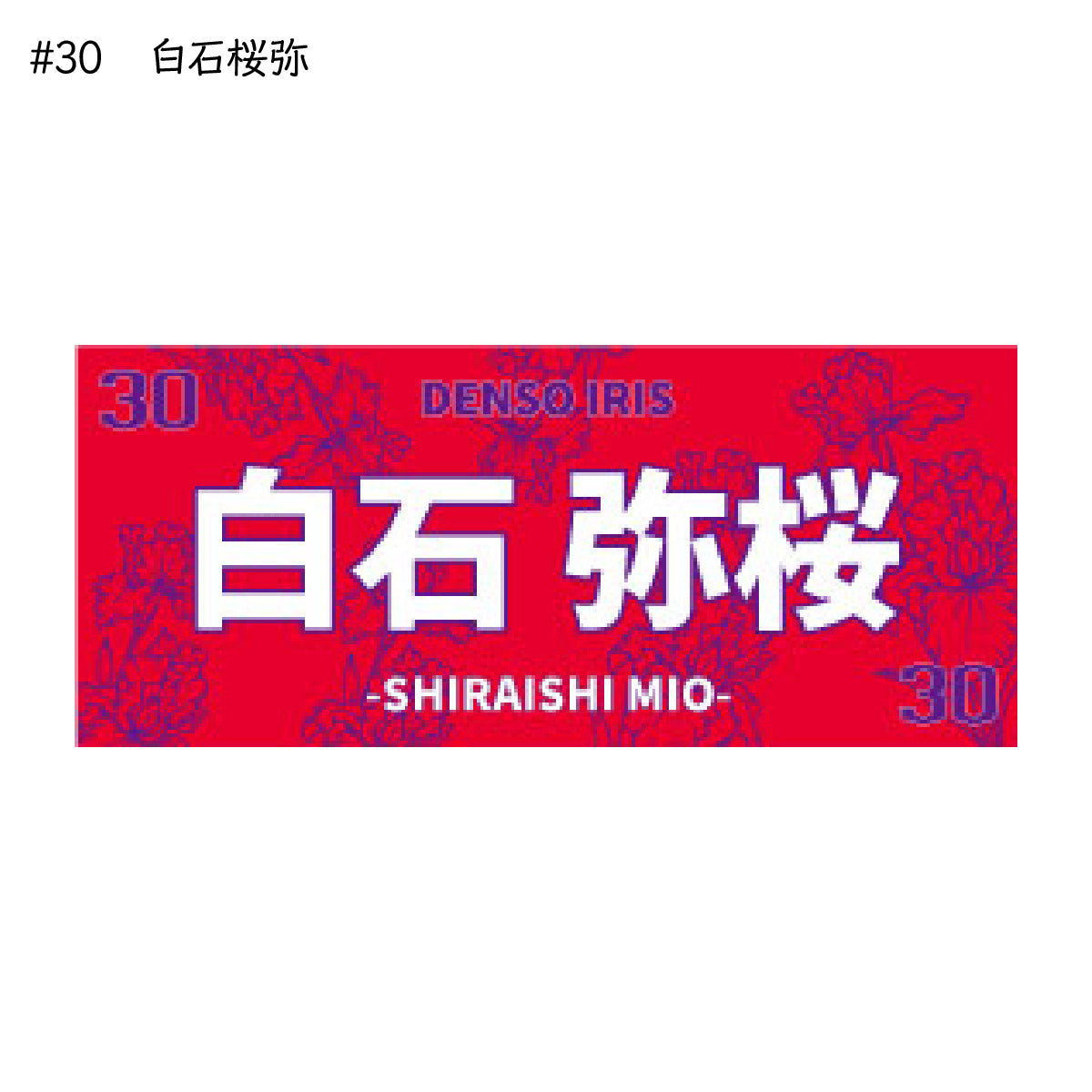 アイリス2025-26　選手別応援タオル